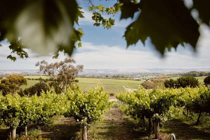 Beach Road Wines